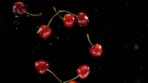 Ripe cherries fall in slow motion Stock Footage 197266560