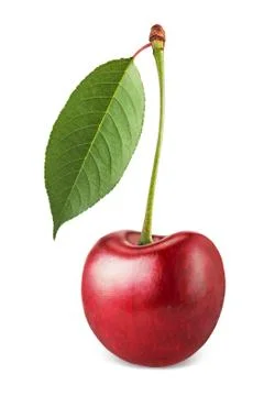 Ripe cherries Stock Photos