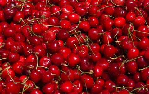 Ripe Cherries Stock Photos