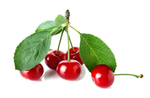 Ripe cherries Stock Photos