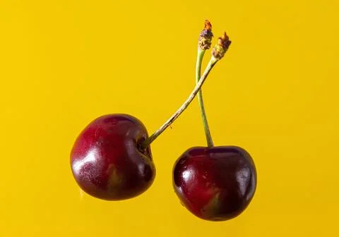 Ripe cherries on a solid background, healthy vegetarian food. Beautiful 库存照片