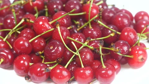 Ripe cherries on the table Stock Footage 235185953