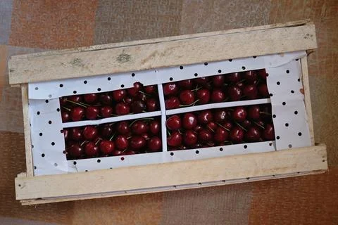 Ripe cherries in a trans box Stock Photos