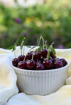 Ripe cherry berries on a branch Stock Photos