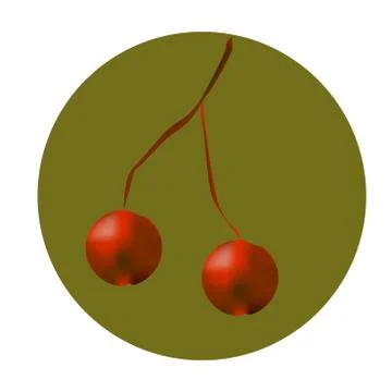 Ripe cherry on a branch Stock Illustration