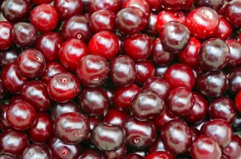 Ripe cherry closeup as background Stock Photos