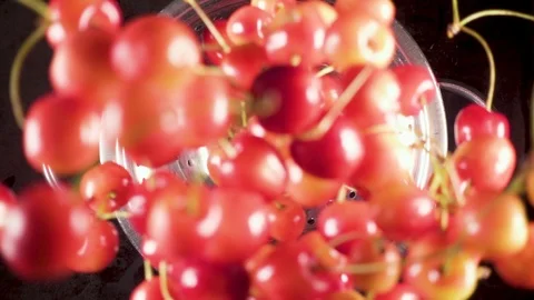 The ripe cherry falls down into a colander slow motion Stock Footage 90487767