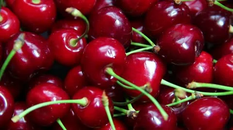 Ripe cherry Video stock 20014689