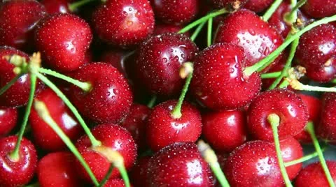 Ripe cherry Stock Footage 20017858