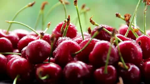 Ripe cherry Stock Footage 21241743