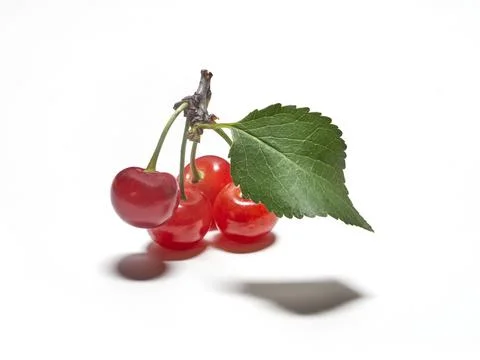 Ripe cherry fruit closeup isolated on a white background Stock Photos