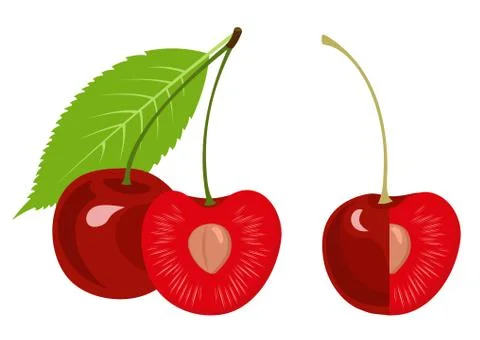 Ripe cherry, half cherry, cherry with a leaf isolated on white background Stock Illustration