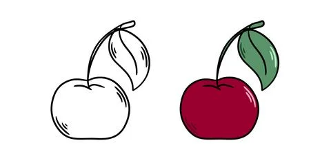 Ripe cherry hand-drawn sketch and color version Stock Illustration