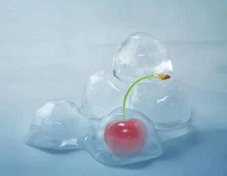 Ripe cherry in ice cube Stock Photos