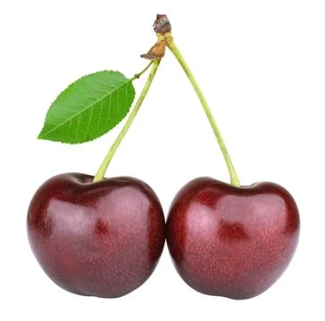 Ripe cherry Stock Photos