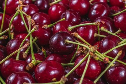 Ripe cherry in a plastic box on the table top view and side background Stock Photos