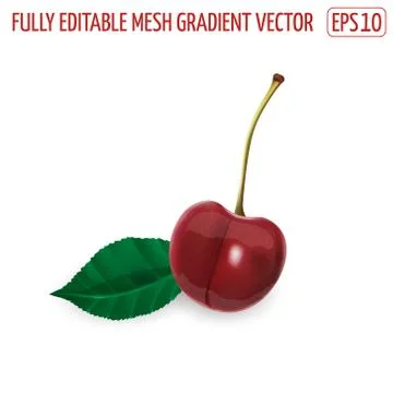 Ripe cherry on a stem and a leaf. Stock Illustration