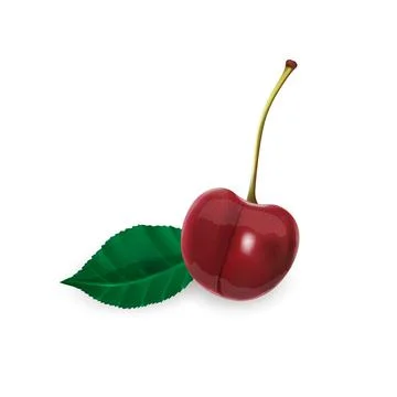 Ripe cherry on a stem and a leaf. Stock Illustration