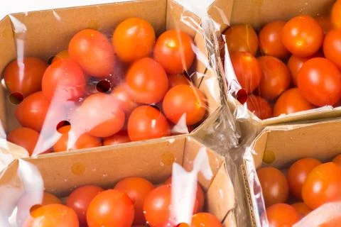 Ripe cherry tomatoes packages in box and plastic Stock Photos