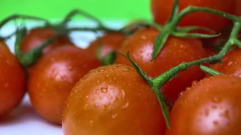 Ripe cherry tomatoes rotate close-up Stock Footage 237827328