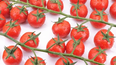 Ripe cherry tomatoes rotating (loopable) on white background. Stock Footage 113627170