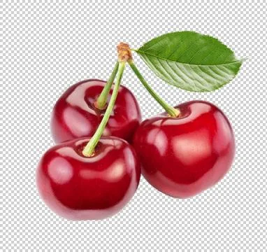 Ripe cherry on a transparent background. Stock Illustration