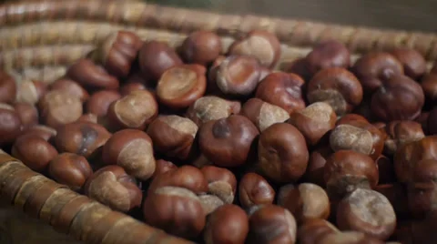 Ripe chestnuts Stock Footage 33671554
