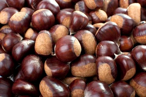 Ripe chestnuts Stock Photos