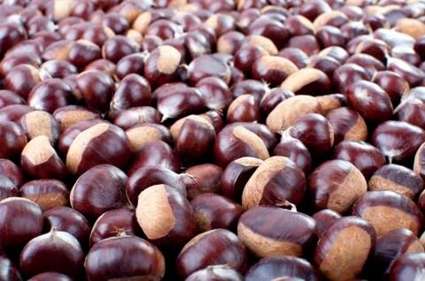 Ripe chestnuts Stock Photos