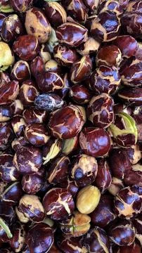 Ripe Chestnuts with Split Shells Piled High Stock Photos