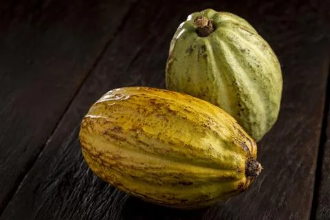 Ripe cocoa fruit on the table. Stock Photos