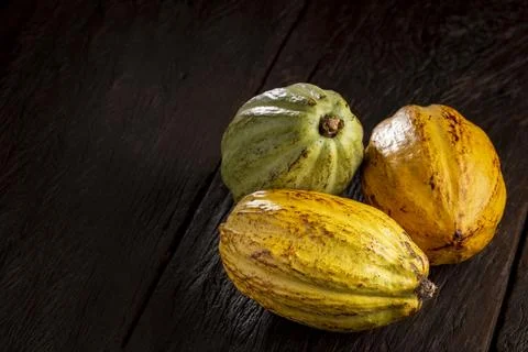 Ripe cocoa fruit on the table. Stock Photos