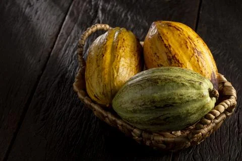 Ripe cocoa fruit on the table. Stock Photos