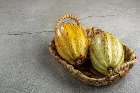 Ripe cocoa fruit on the table. Stock Photos
