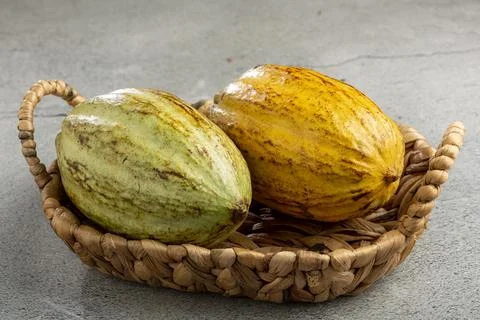 Ripe cocoa fruit on the table. Stock Photos