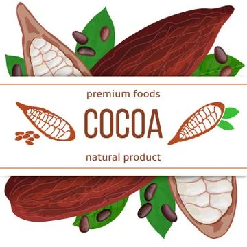 Ripe Cocoa pod fruit, beans and leaves. 3d icon vector set. Stripe with text Stock Illustration