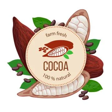 Ripe Cocoa pod fruit, beans and leaves around circle badge with text natural Stock Illustration