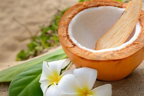 Ripe coconut on the beach Stock Photos