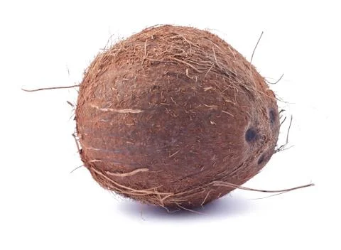 Ripe coconut Stock Photos