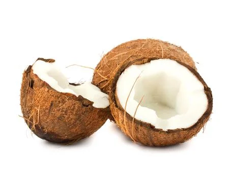 Ripe coconuts Stock Photos