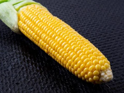 Ripe corn on black background. Stock Photos