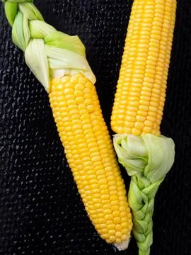 Ripe corn on black background. Stock Photos