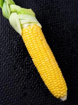 Ripe corn on black background. Stock Photos