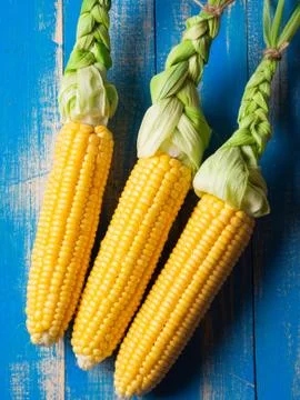 Ripe corn on blue boards. Stock Photos