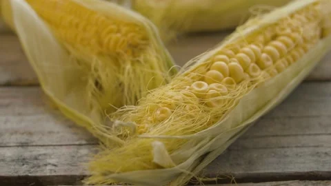 Ripe corn on the cob Stock Footage 137090696