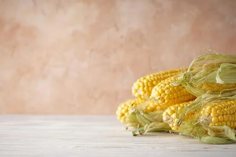 Ripe corn cobs on a beige background with space for text. Stock Photos
