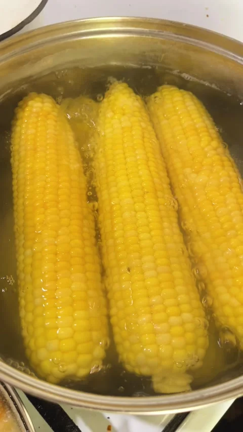 Ripe Corn Cobs Boiling in a Pot of Water Video stock 342075222