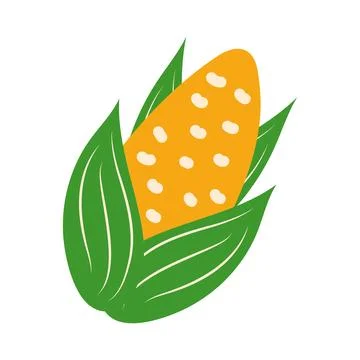 Ripe corn in flat design. Kwanzaa holiday festival gift and harvest symbol... Stock Illustration