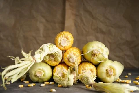 Ripe corn on a gray background, close-up. Stock Photos