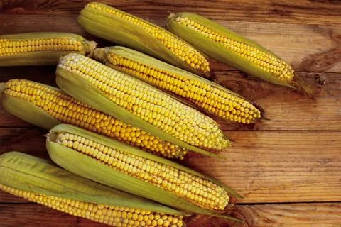 Ripe corn on a wooden surface Stock Photos
